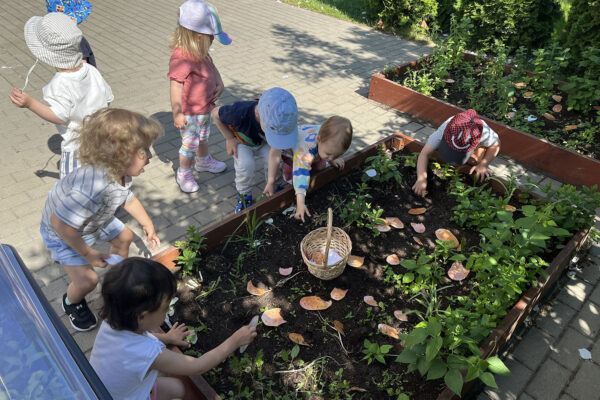 przedszkole-mini-harvard-warszawa-1