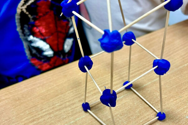 przedszkole-mini-harvard-warszawa-12