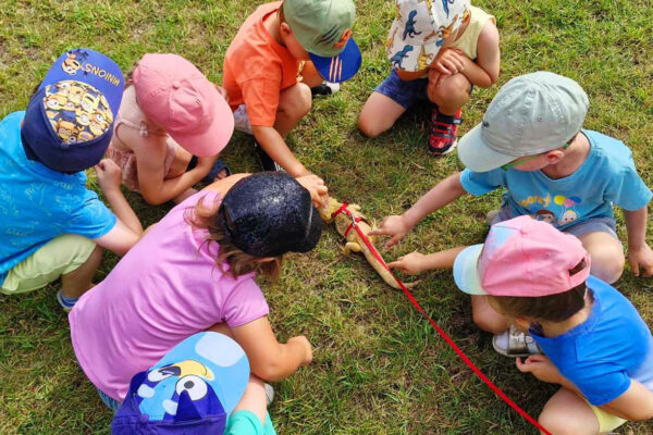 przedszkole-mini-harvard-warszawa-4