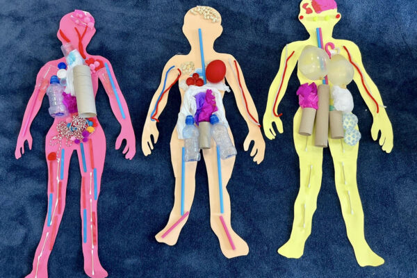 przedszkole-mini-harvard-warszawa-7