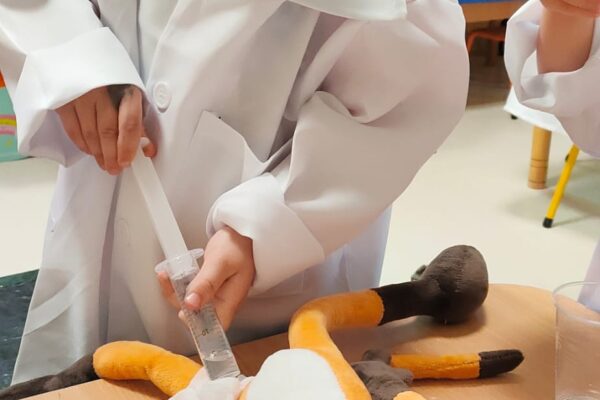 pzedszkole-mini-harvard-1