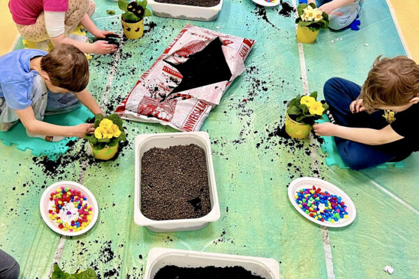 pzedszkole-mini-harvard-10