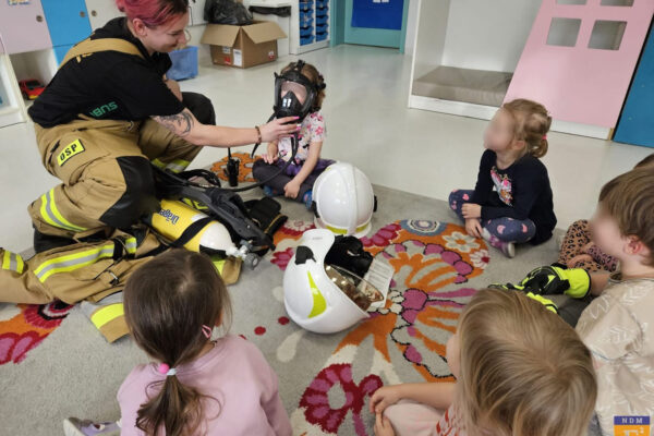 pzedszkole-mini-harvard-12