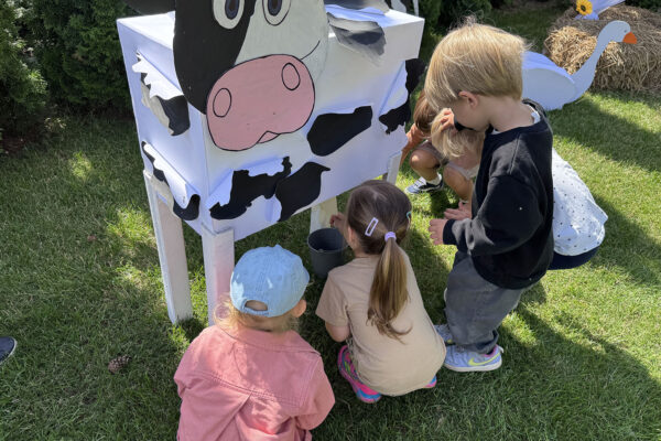 pzedszkole-mini-harvard-14