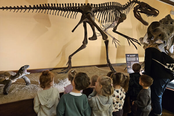 pzedszkole-mini-harvard-15