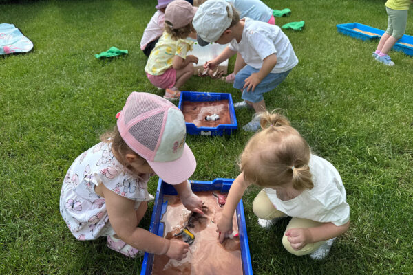 pzedszkole-mini-harvard-16