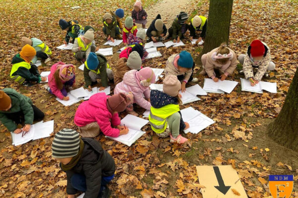 pzedszkole-mini-harvard-18