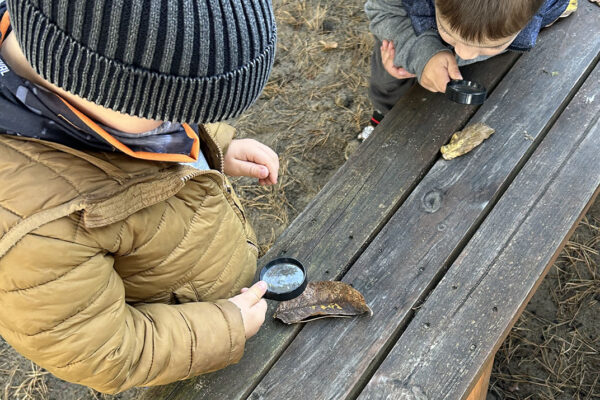 pzedszkole-mini-harvard-2