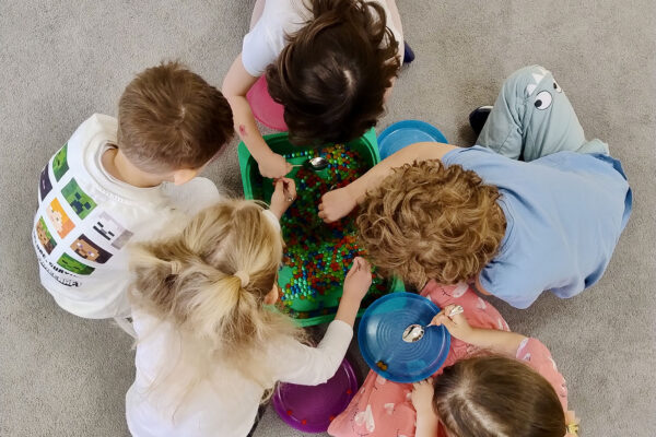 pzedszkole-mini-harvard-22