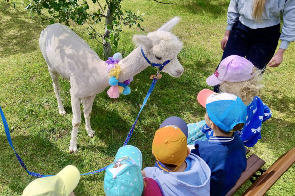 pzedszkole-mini-harvard-23