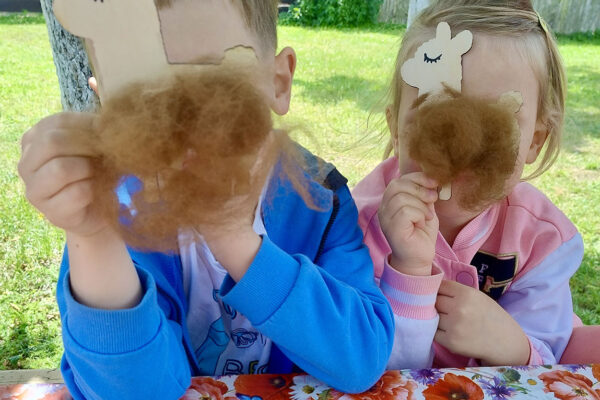 pzedszkole-mini-harvard-26