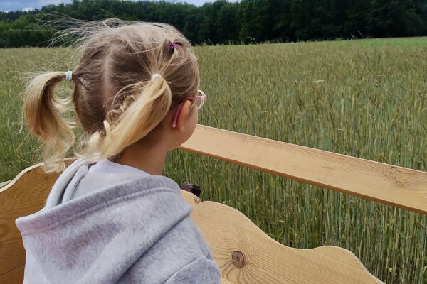 pzedszkole-mini-harvard-27