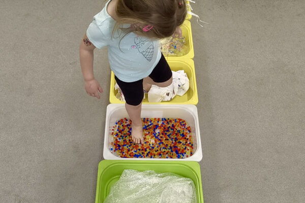 pzedszkole-mini-harvard-29