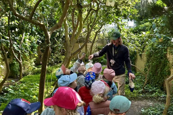 pzedszkole-mini-harvard-3