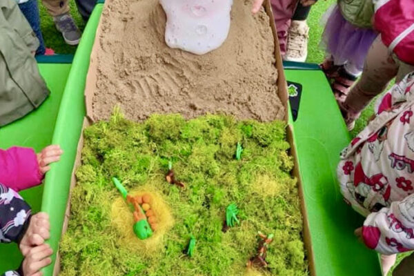 pzedszkole-mini-harvard-6